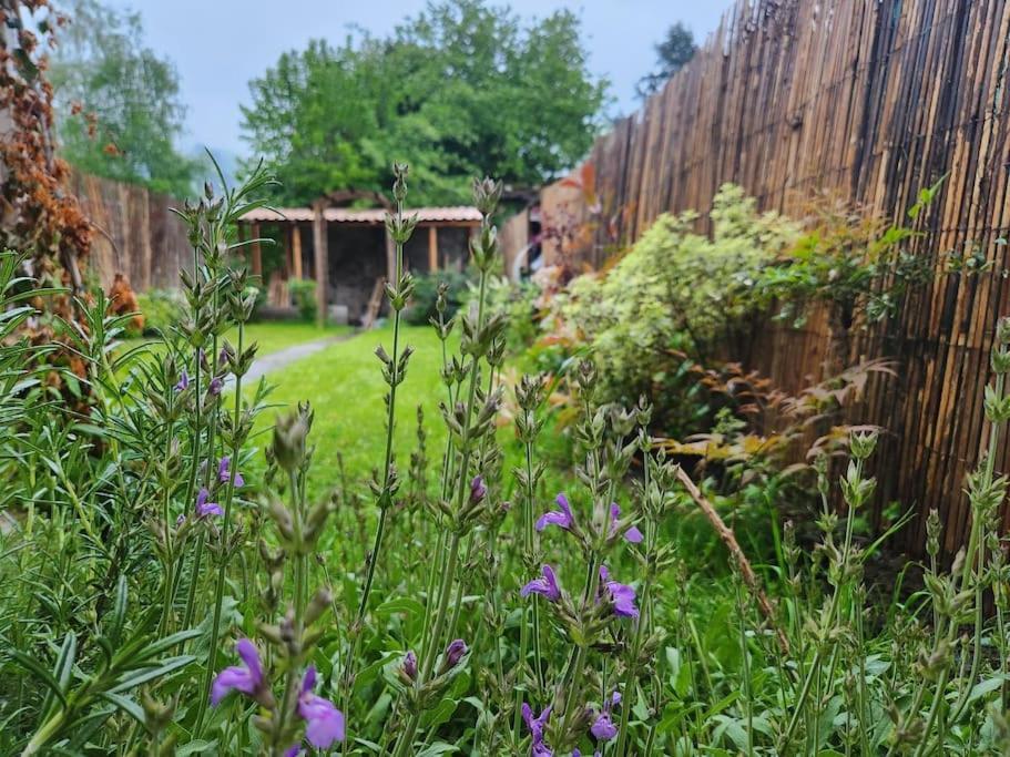 Marmoza - Maison Plein Coeur De Village Saint-Geniez-dʼOlt Zewnętrze zdjęcie